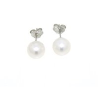 Ohrringe Mikiko Dame in Weißgold Perla M.GTR45B